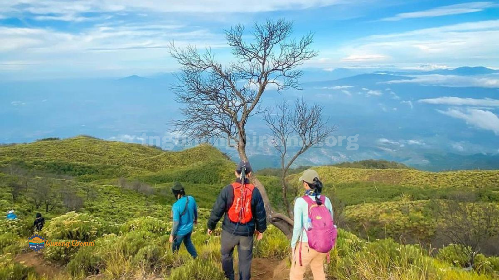 tngunungciremai.org