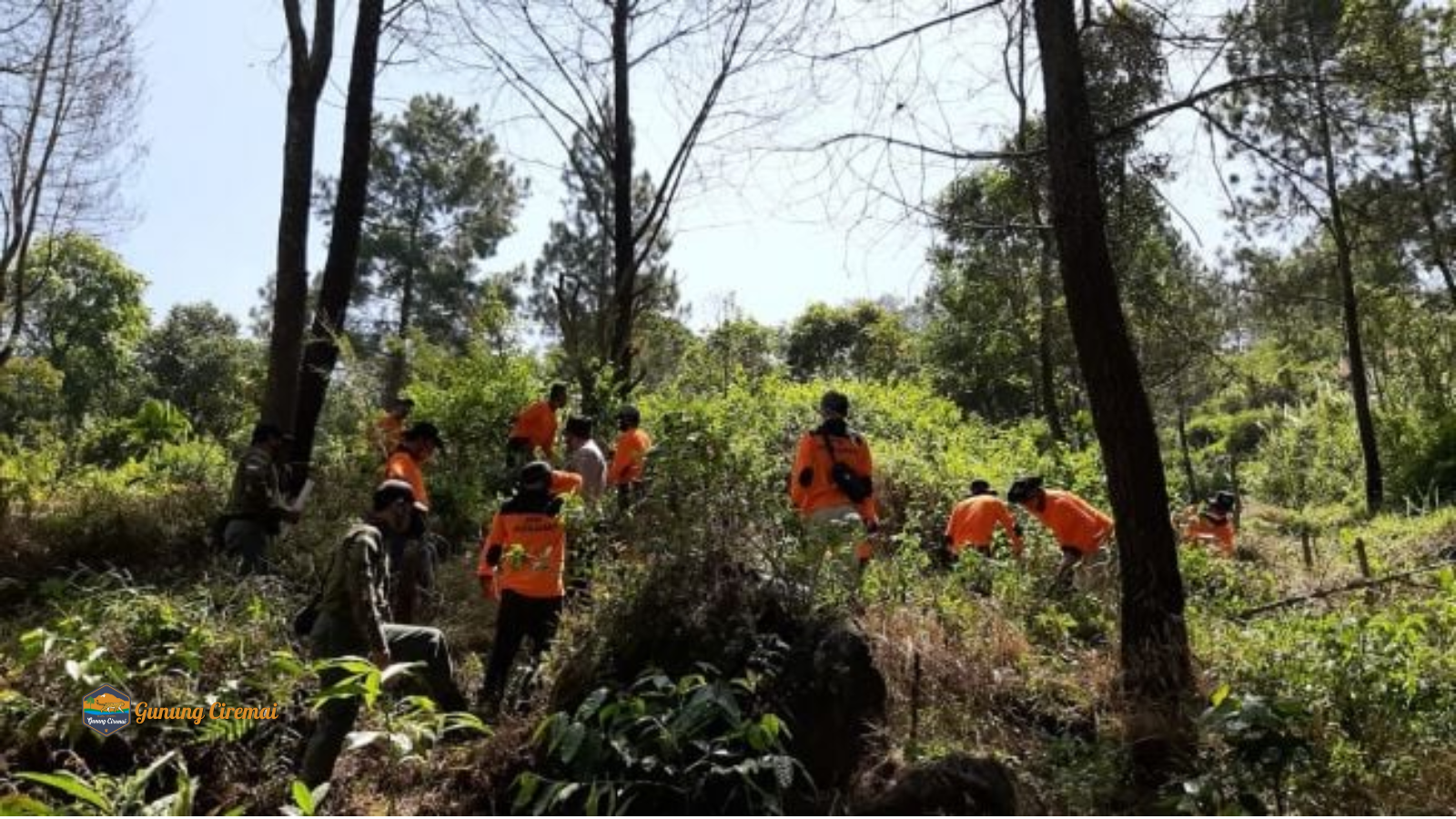 tngunungciremai.org