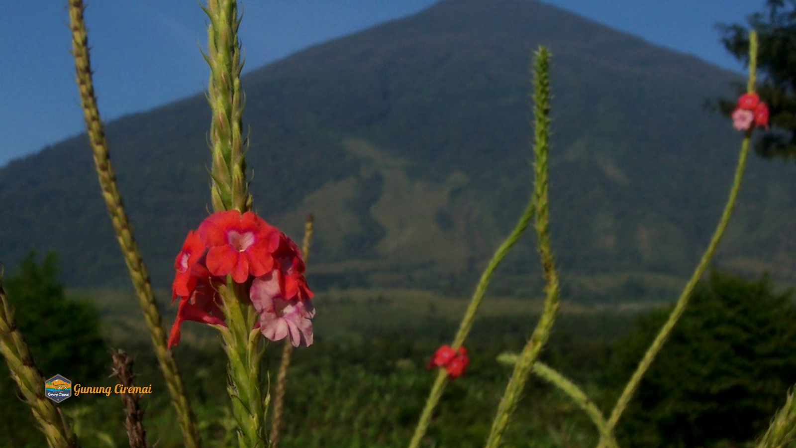 tngunungciremai.org