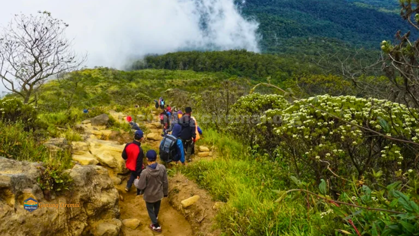Kolaborasi Komunitas Pecinta Alam untuk Menjaga Ekosistem Gunung Ciremai